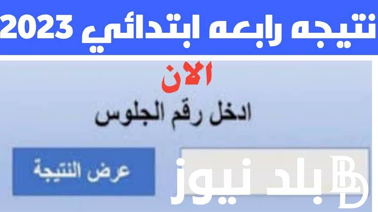 “eduserv.cairo.gov.eg” نتيجة الصف الرابع الابتدائي محافظة القاهرة 2024 الترم الثاني عبر بوابة نتائج التعليم الأساسي