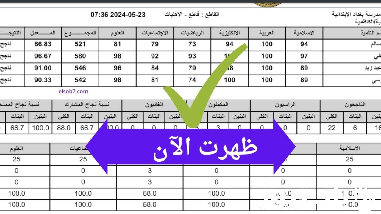 “ظهرت الآن” نتائج السادس ابتدائي محافظة النجف الدور الاول 2024  عبر موقع نتائجنا