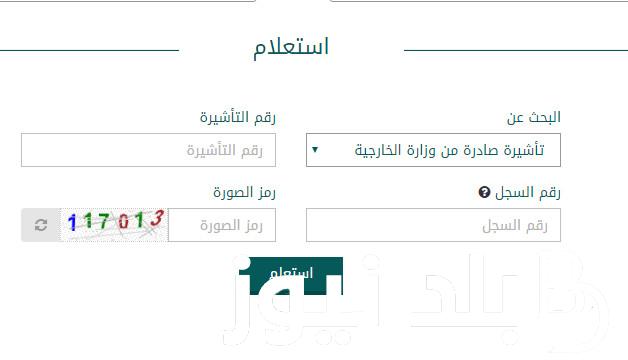 من هُنا.. إنجاز استعلام عن تأشيرة برقم الطلب 2024 في السعودية ورابط الاستعلام عبر mofa.gov.sa