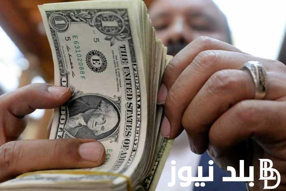 100 دولار كم جنيه مصري اليوم في السوق السوداء؟ تعرف على سعر الدولار اليوم السبت 1 يونيو 2024 مقابل الجنيه المصري