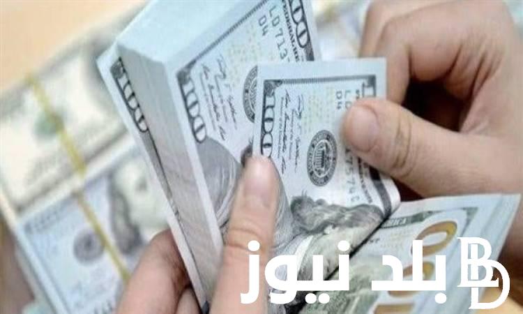 100 دولار كم جنيه مصري اليوم في السوق السوداء؟.. الثلاثاء 25 يونيو 2024