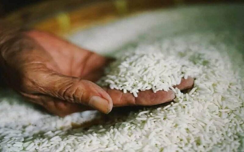 “بكام الاردب” سعر طن الأرز الشعير اليوم السبت 29-6-2024 في الاسواق والمضارب المصريه