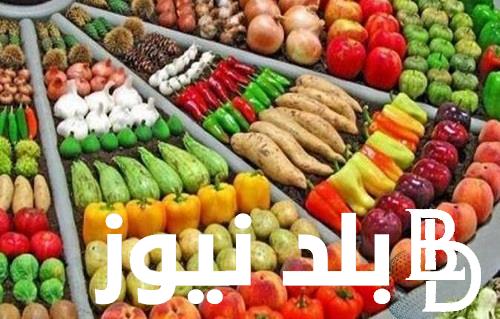 الكيلو بكام ؟.. سعر البصل اليوم الثلاثاء 25 يونيو 2024 بسوق العبور بالقاهرة