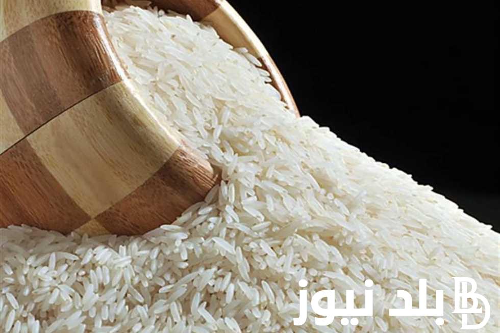 للمستهلكين والتجار.. سعر طن الأرز الشعير اليوم الاثنين 24 يونيو 2024 في مصر