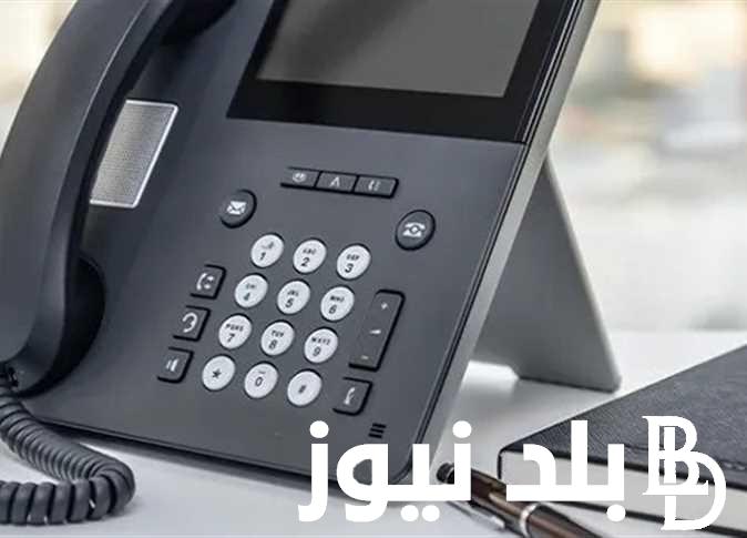 طريقة الاستعلام عن فاتورة التليفون الارضي 2024 اونلاين لعملاء المصرية للاتصالات - بلد نيوز