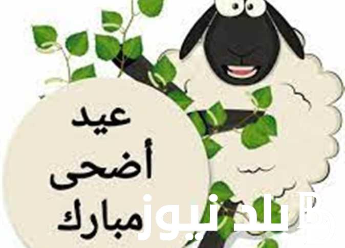 “عيد اللحمة والفتة” موعد عيد الاضحى 2024 في مصر وفقاً لما اعلنته دار الإفتاء المصريه
