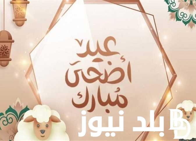 “عساكم من عواده” .. أجمل عبارات تهنئة عيد الاضحى 2024 لإرسالها للأهل والأصدقاء