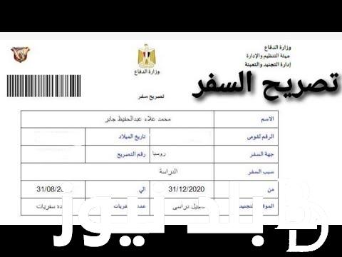 “اون لاين” استخراج تصريح سفر إلكتروني مصر والأوراق المطلوبة في 24 ساعة