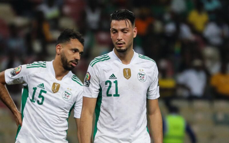 “اتفرج مجانا” القنوات الناقلة لمبارة الجزائر و غينيا في الجولة الثالثة في تصفيات كأس العالم 2026