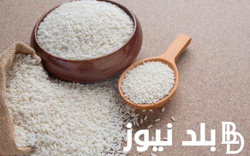 “بكام الان” سعر طن الارز الشعير اليوم الاحد 30 يونيو 2024 للمستهلك بالاسواق المحلية