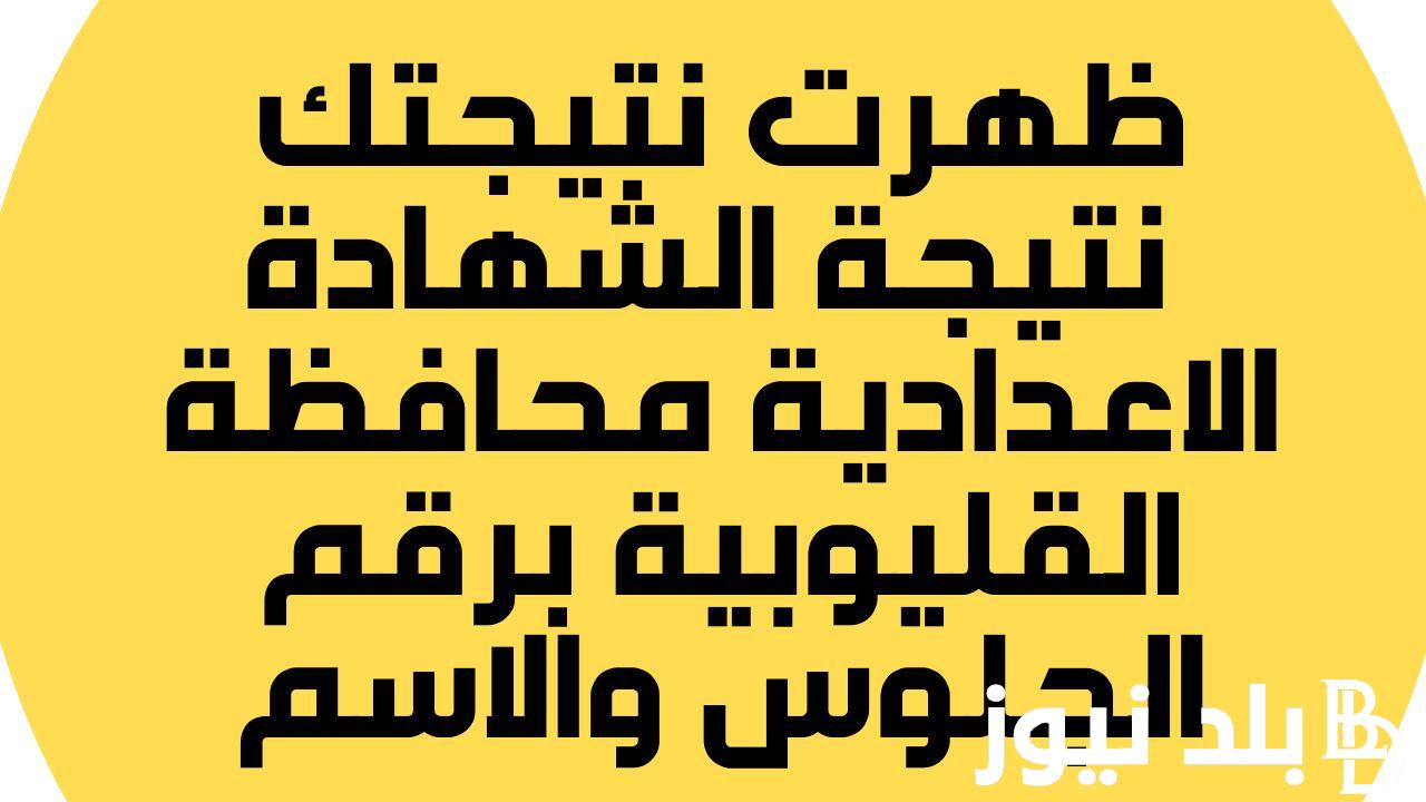 نتيجه الشهاده الاعداديه محافظه القليوبيه اخر العام | بوابة القليوبية التعليمية نتائج الامتحانات الشهادة الاعدادية الترم الثاني للعام الدراسي 2023-2024