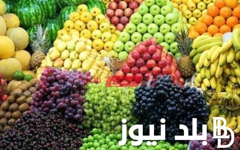 أسعار الفاكهة اليوم الخميس 13 يونيو 2024 للمُستهلك في مصر