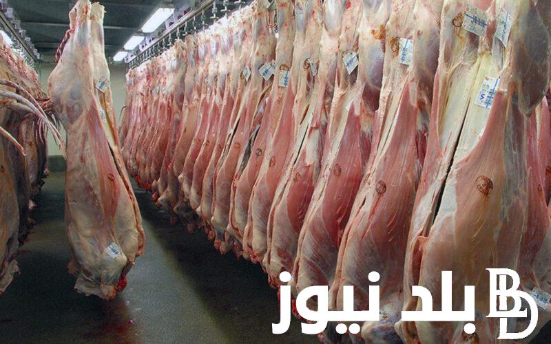 “نزل 15 جنيه” سعر كيلو اللحم البقري اليوم الاربعاء 12 يونيو 2024 في كل المنافذ الحكومية والمحلات التجارية