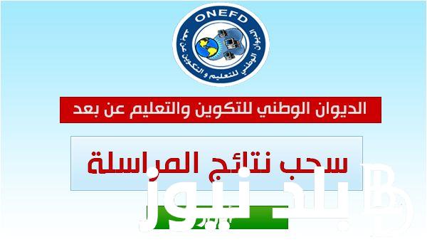 خطوات استخراج نتائج المراسلة 2024 في دولة الجزائر عبر inscriptic.onefd.edu.dz