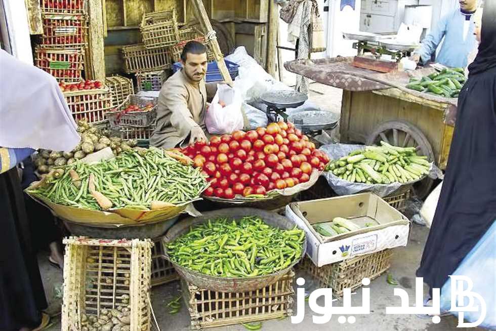 “كليو ورق العنب بكام” أسعار الخضار اليوم الاثنين 10 يونيو 2024 في جميع الاسواق التجارية للمستهلك