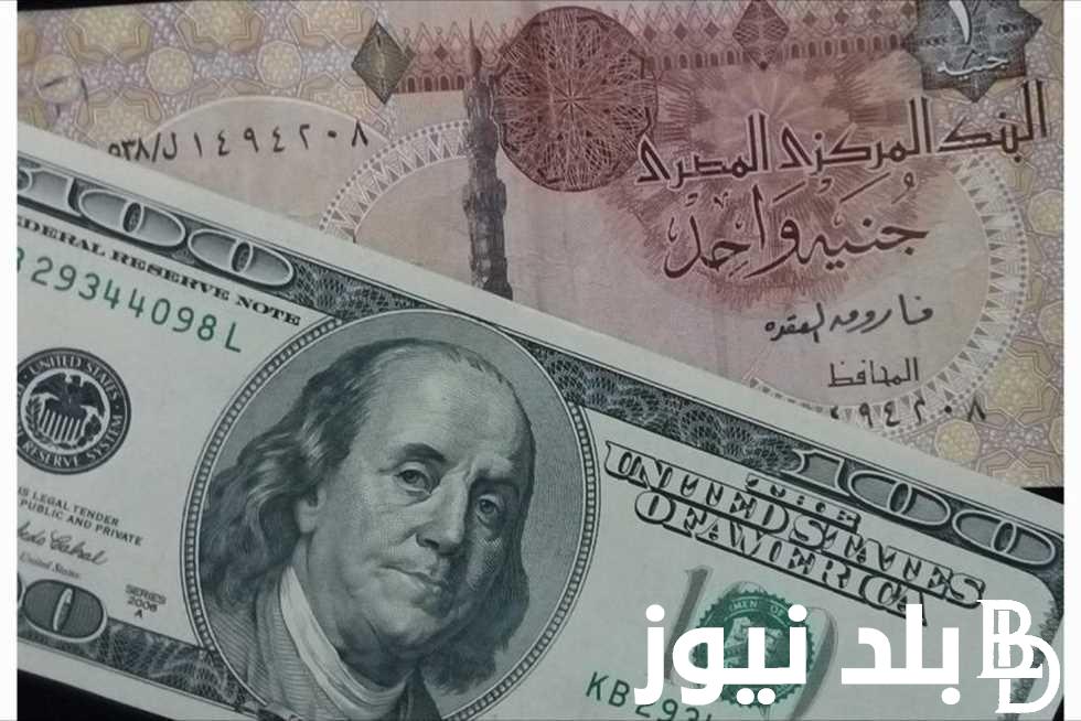 ” الدولار بيطير “سعر الدولار اليوم في السوق السوداء الثلاثاء 25 يونيو 2024 وفي البنوك المصرية وشركات الصرافة