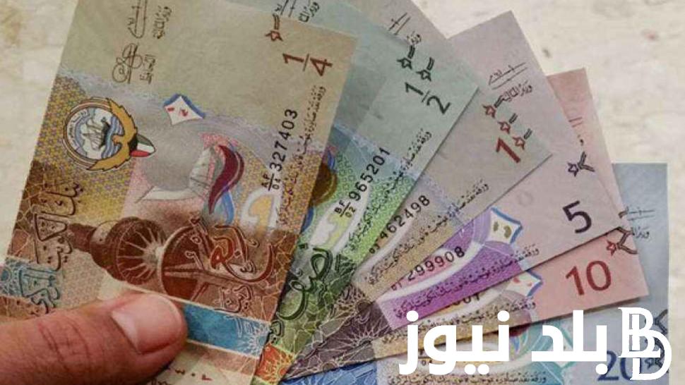 الكويتي بكام؟ سعر الدينار الكويتي اليوم الثلاثاء 25 يونيو 2024 في البنوك المصرية والسوق السوداء