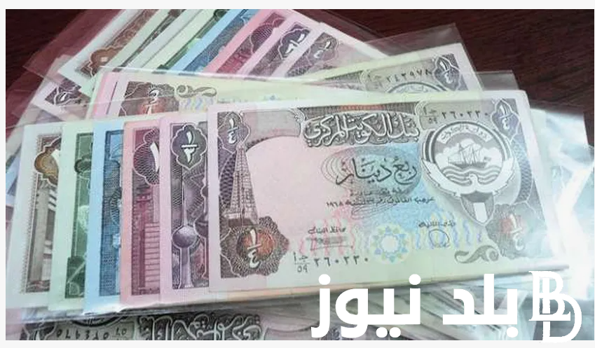 الكويتي بكام؟ سعر الدينار الكويتي اليوم في السوق السوداء الاحد 23 يونيو 2024 مقابل الجنيه المصري