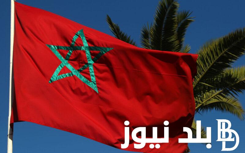 الزيادة في معاشات متقاعدي الصندوق المغربي للتقاعد 2024 وخطوات الاستعلام عن الزيادة الجديدة وفقا لوزارة المالية المغربية