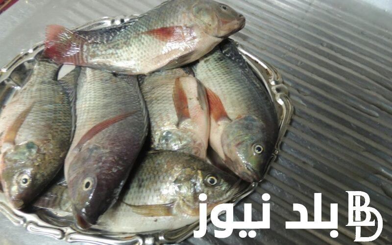 استقرار أسعار السمك اليوم للمستهلك في سوق العبور بتاريخ السبت 29-6-2024