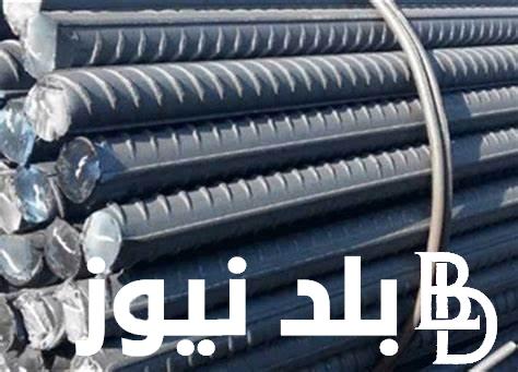 ” عز بيفرحنا” سعر طن الحديد اليوم في مصر الاحد 16 يونيو 2024 للمستهلك في مصر