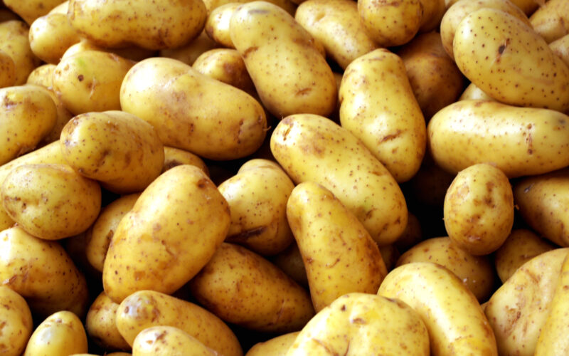 “اشتري وحمري لعيالك” أسعار البطاطس اليوم في سوق العبور السبت 1 يونيو 2024 بالكيلو