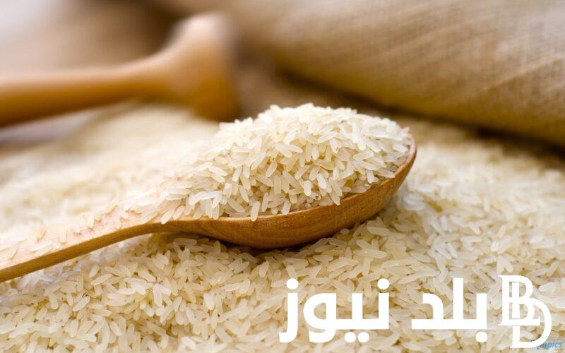 الاردب علي كام.. سعر طن الأرز الشعير اليوم الخميس 27-6-2024 في الاسواق والسوبر ماركت