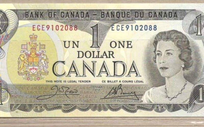 “الكندي بكـام؟” سعر الدولار الكندي مقابل الجنيه المصري اليوم السبت 22 يونيو 2024 في السوق السوداء