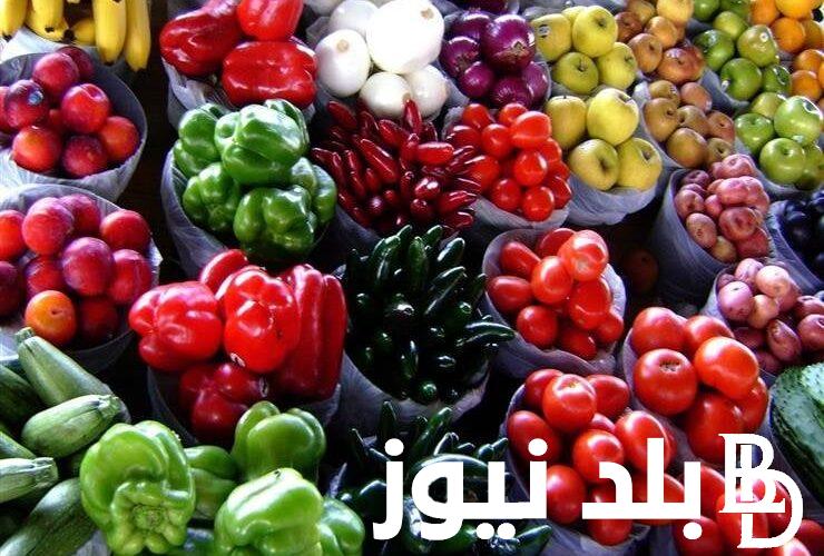 “بالكيلو “اسعار الخضار اليوم السبت 15 يونيو 2024 في سوق العبور للمستهلك في مصر