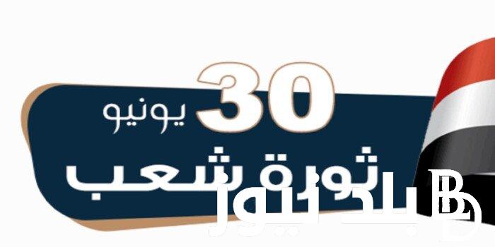 هل يوم الأحد القادم إجازة رسمية في مصر مجلس الوزراء يعلن تفاصيل حول مناسبة ذكرى ثورة 30 يونيو