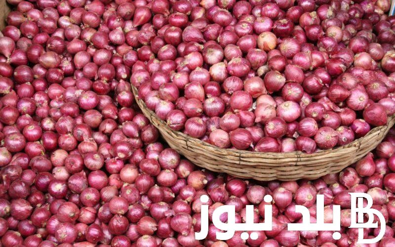 “البصل الاحمر” اسعار البصل اليوم الاربعاء 5 يونيو 2024 في سوق العبور للمستهلك في مصر