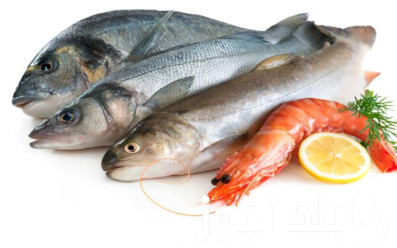 تراجع اسعار السمك اليوم الاربعاء 19-5-2024 في سوق العبور لتجارة الاسماك الجملة