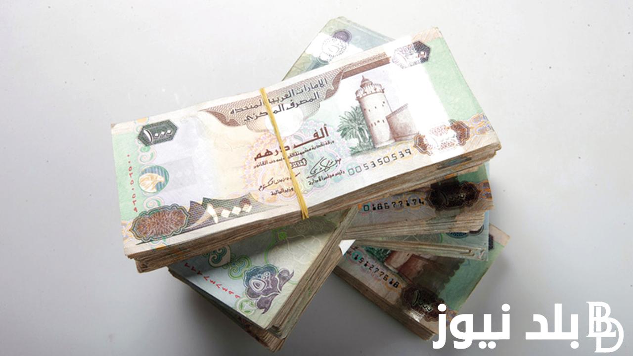 قبل نهاية اليوم .. سعر الدرهم الإماراتي في السوق السوداء اليوم الإثنين الموافق 24 يونيو 2024 وفقاً للتحديثات الأخيره له