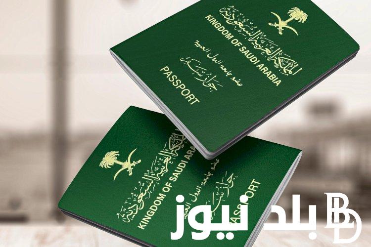 رابط وخطوات استعلام عن تأشيرة زيارة برقم الجواز عبر منصة التاشيرات الالكترونيه