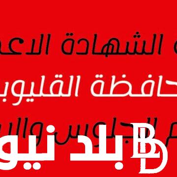 نتيجة ثالثة إعدادي برقم الجلوس والاسم محافظة القليوبية 2024 عبر البوابة الألكترونية ونتيجة نت qaliobia.gov.eg