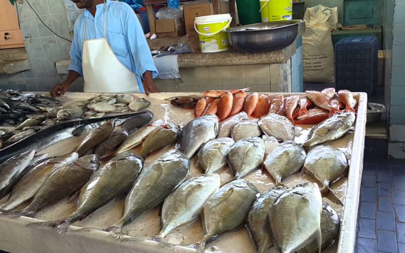 أسعار السمك اليوم للمستهلك السبت 8 يونيو 2024 في سوق العبور