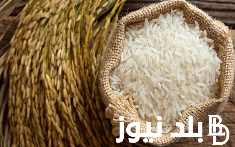 سعر طن الأرز الشعير اليوم الخميس 20 يونيو 2024 في جميع الاسواق المصرية لجميع المستهلكين