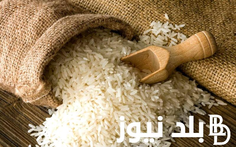 سعر الأرز الشعير اليوم الاحد 23-6-2024 في الاسواق والمضارب للتجار والمستهلكين