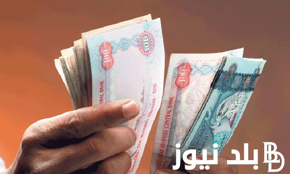 عامل كام؟ سعر الدرهم الإماراتي في السوق السوداء اليوم الاحد 16 يونيو 2024 مقابل الجنيه المصري