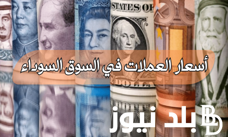 “صراع العملات” أسعار العملات في السوق السوداء اليوم في مصر الاحد 2 يونيو 2024