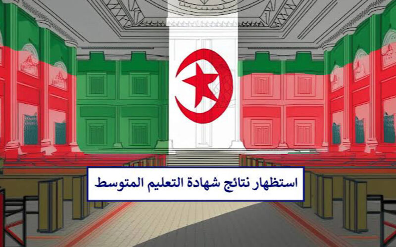 “استعلم حالا” نتائج شهادة التعليم المتوسط 2024 في الجزائر وخطوات الاستعلام عن النتائج عبر موقع الديوان الوطني