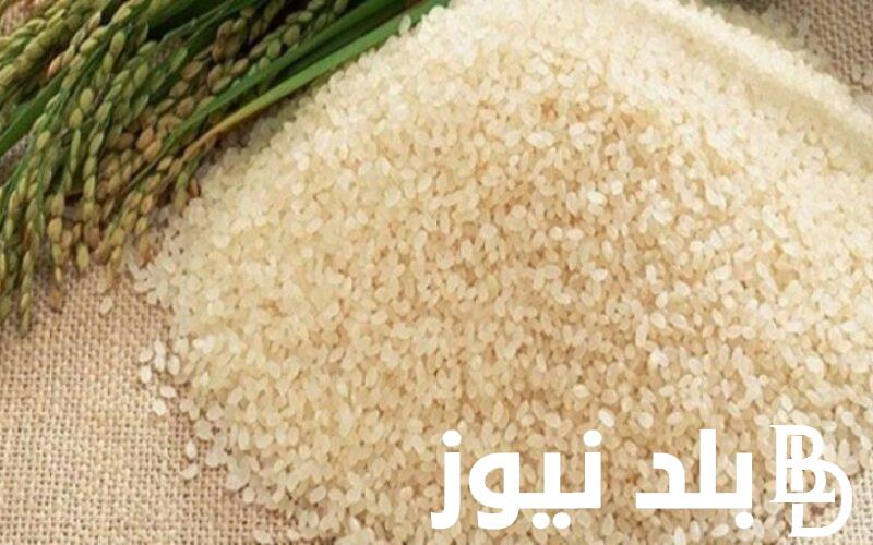 سعر طن الأرز الشعير اليوم الاربعاء 26 يونيو 2024 في الاسواق والمجمعات الاستهلاكية