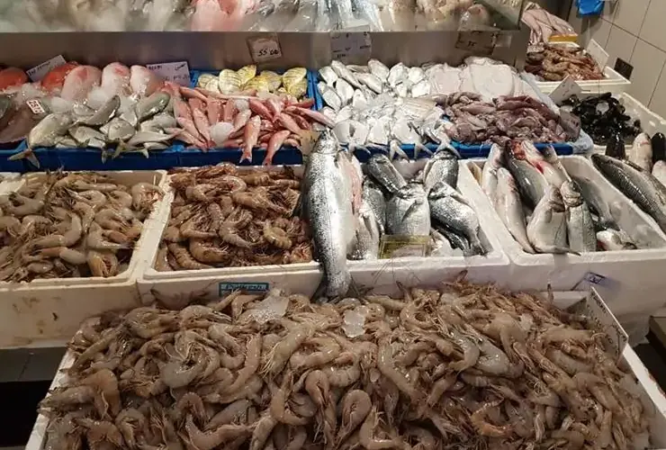 “البوري والبياض”  اسعار السمك اليوم الأحد ثاني أيام شهر يونيو في جميع محلات بيع الأسماك