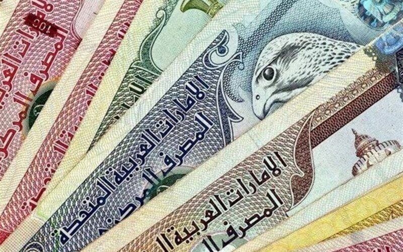 “الصرف الآن” 100 درهم اماراتي كم جنيه مصري في السوق السوداء اليوم الاربعاء 26 يونيو 2024 وبالبنك المركزي