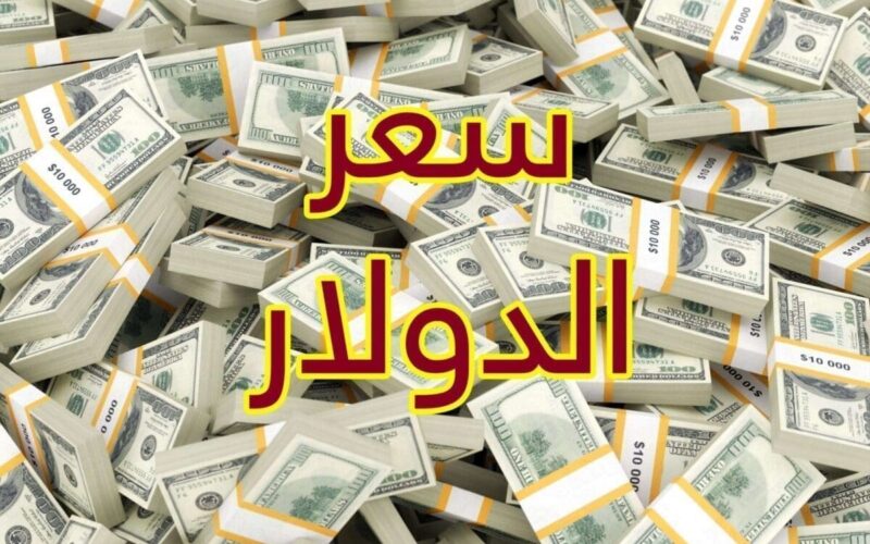 الاخضر بكـام؟.. اعلى سعر للدولار اليوم في السوق السوداء بتاريخ 17 يونيو 2024 مقابل الجنيه المصري