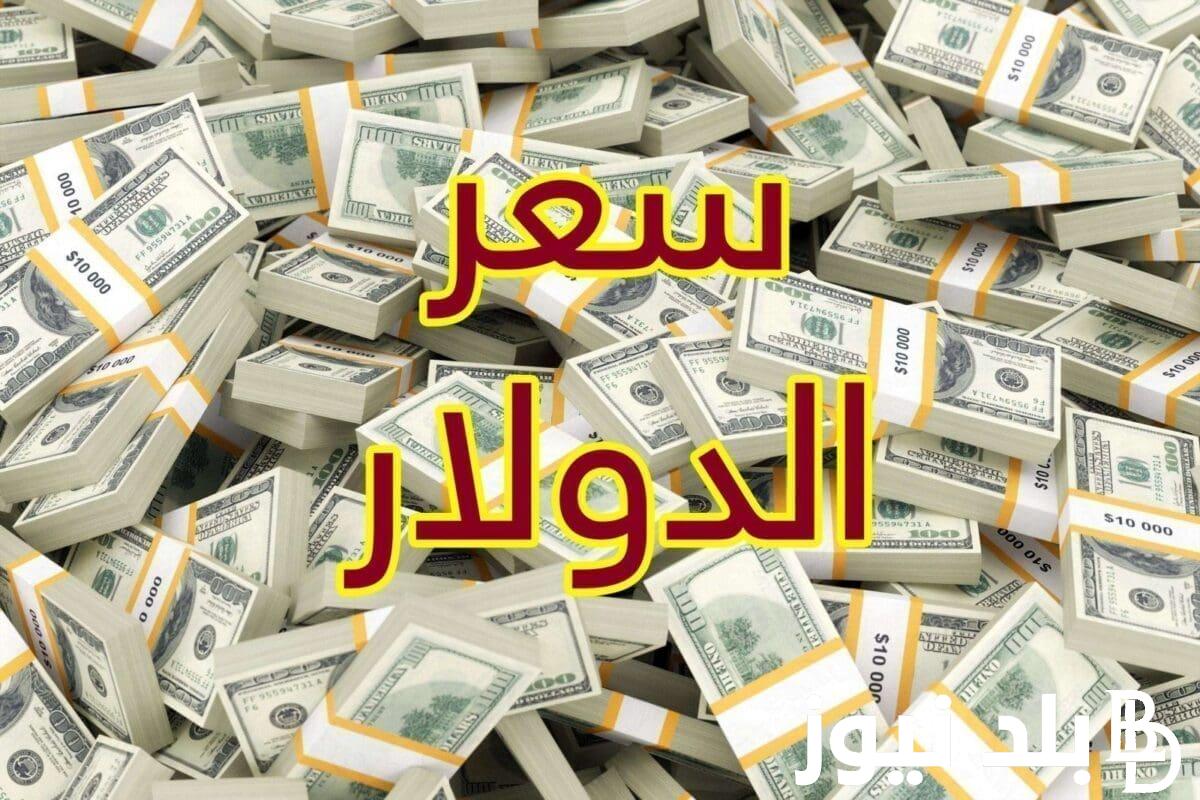 “الأخضر في العلالي” سعر الدولار في السوق السوداء اليوم لحظة بلحظة بتاريخ 18 يونيو 2024 مقابل الجنيه المصري