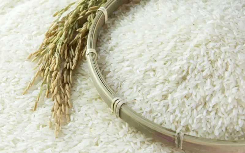” الطن بكام؟.. سعر طن الأرز الشعير اليوم الاحد 30 يونيو 2024 للمستهلك في المنافذ التجارية والاسواق المحلية