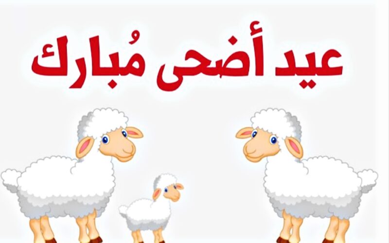 “Eid Mubarak” تهنئة عيد الاضحى بالانجليزي .. أجمل وأرق عبارات عيد الاضحي المبارك باللغة الانجليزية مترجمة