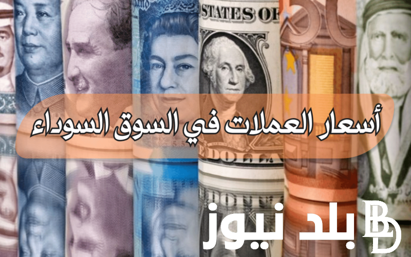 اسعار العملات اليوم فى السوق السوداء فى مصر بتاريخ الجمعة 21 يونيو 2024 وفي البنوك المصرية