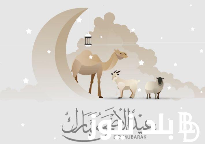 “افرح بأجازة العيد” اجازة عيد الاضحى للقطاع الخاص ٢٠٢٤ في جميع الشركات داخل مصر